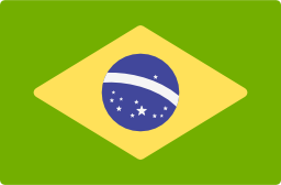 Portugués De Brasil